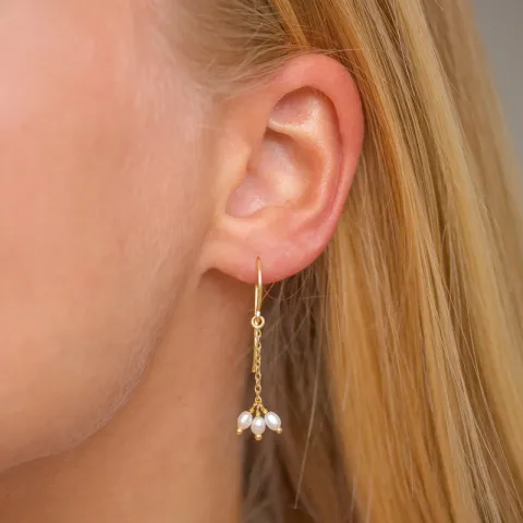 parel ketting oorbellen in verguld zilver