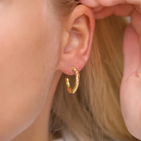 halfcreool in verguld zilver