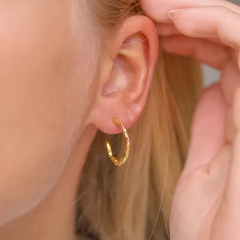 halfcreool in verguld zilver