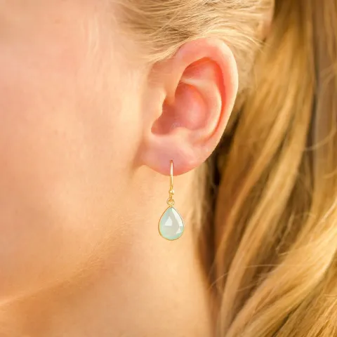 druppel onyx oorbellen in verguld sterlingzilver