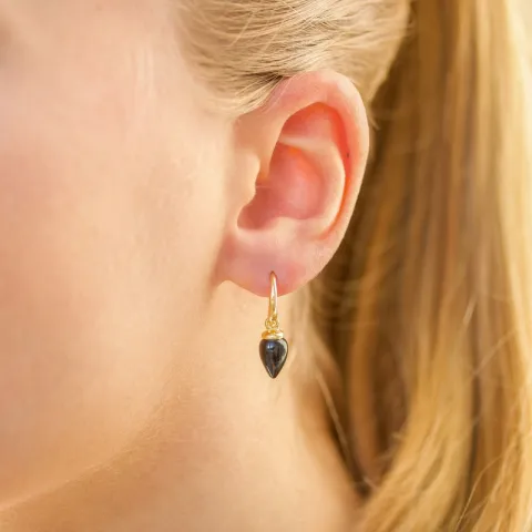 zwarte onyx oorbellen in verguld zilver