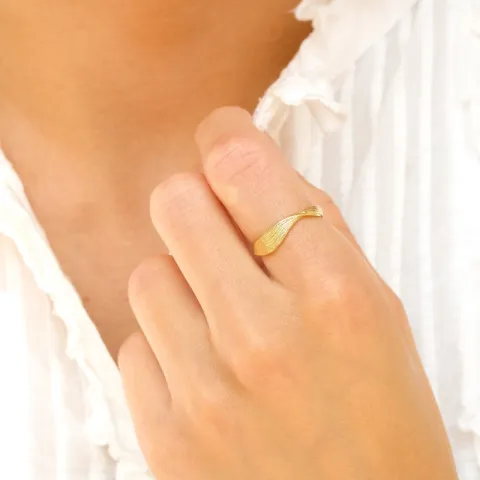 ring in verguld messing
