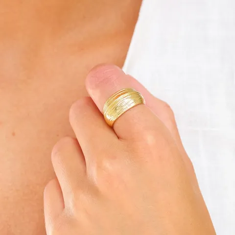 ring in verguld messing - Eliné