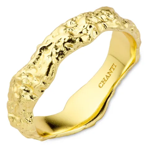 ring in verguld messing