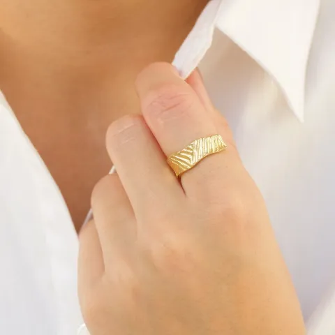 ring in verguld messing - Eliné