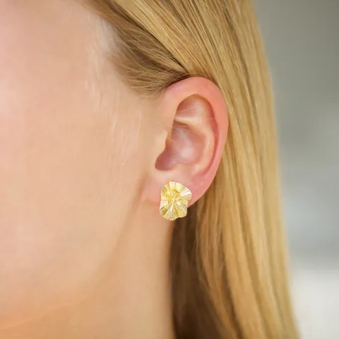 oorbellen in verguld messing - Eliné