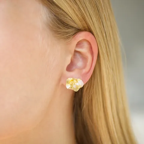 oorbellen in verguld messing - Eliné