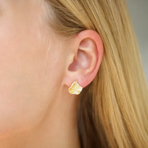 oorbellen in verguld messing - Eliné