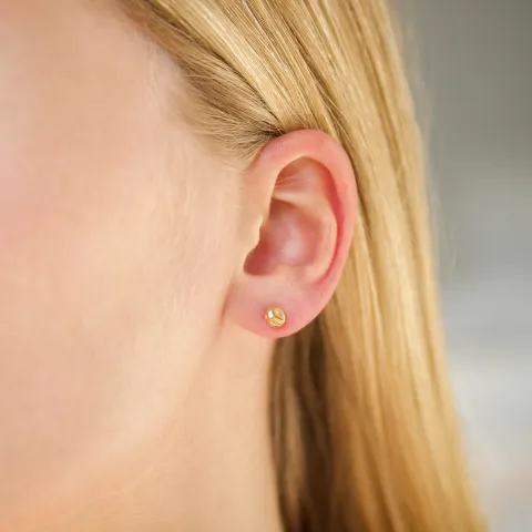 5 mm waterproof oorsteker in verguld staal - OCEANA