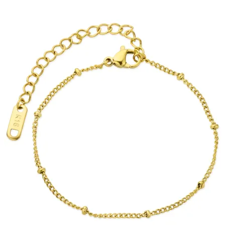 waterproof armband in verguld staal 15 cm + 5 cm x 2,2 mm  - OCEANA