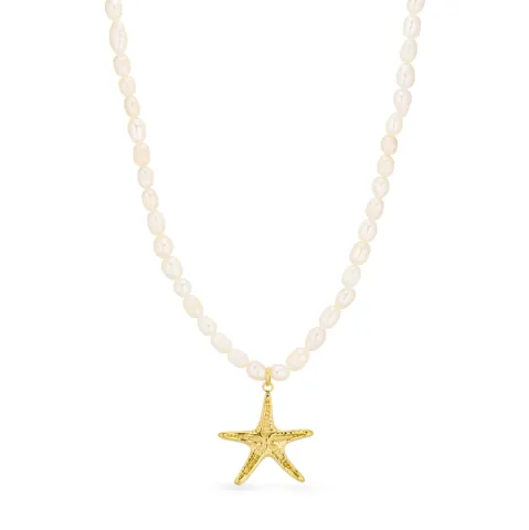 waterproof zeester ketting in verguld staal - OCEANA