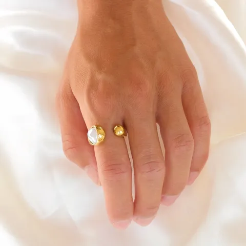 waterproof ring in verguld staal - OCEANA