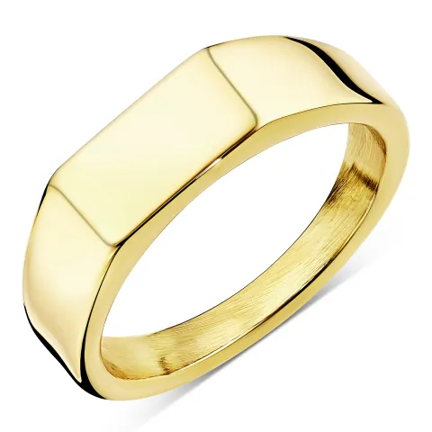 waterproof ring in verguld staal