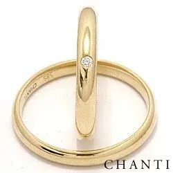 Smal rond diamant trouwringen in 14 karaat goud 0,025 ct - set