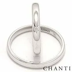 diamant trouwringen in 14 karaat witgoud 0,025 ct - set