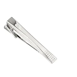 Glanzend dasspeld in staal