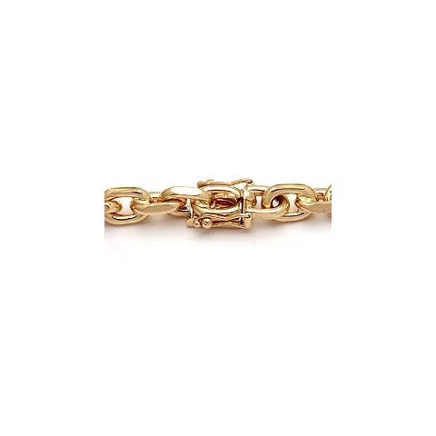 BNH Anker facet armband in 14 karaat goud 18,5 cm x 6,0 mm