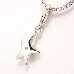 Zilver bedeltjes voor armband in zilver