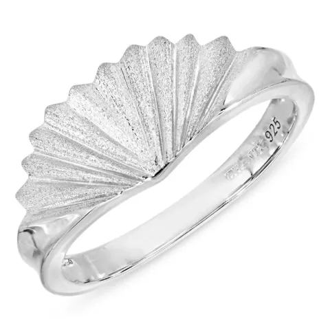 ring in zilver