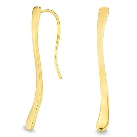 oorbellen in verguld zilver