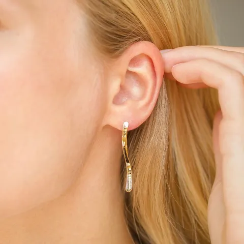 oorbellen in verguld zilver