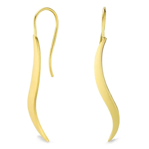 oorbellen in verguld zilver