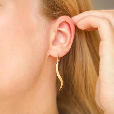 oorbellen in verguld zilver