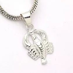 Sterrenbeeld de kreeft hanger in zilver