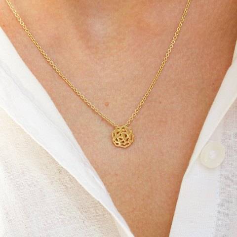 Geboorte bloem januari anjer hanger in verguld sterlingzilver