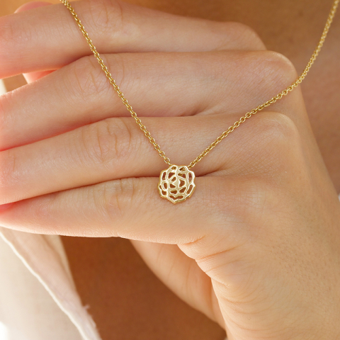 Geboorte bloem januari anjer hanger in verguld sterlingzilver