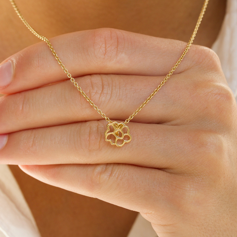 Geboorte bloem september grauw hanger in verguld sterlingzilver