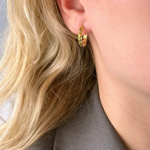 halfcreool in verguld zilver