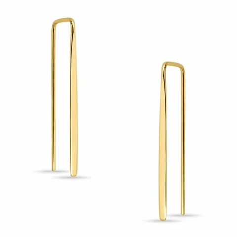 lange oorbellen in verguld zilver