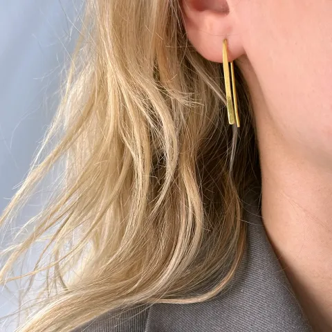 lange oorbellen in verguld zilver