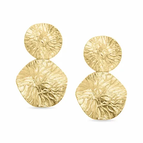 oorbellen in verguld sterlingzilver