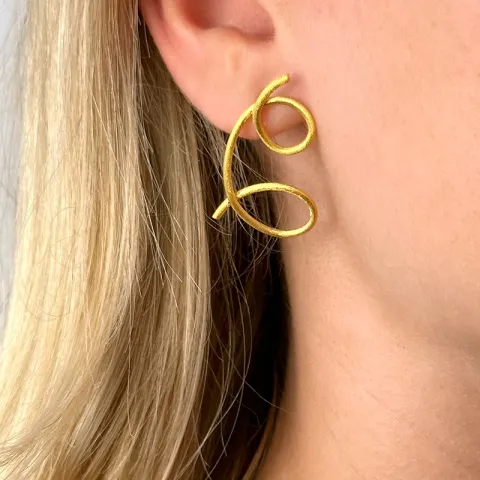 oorbellen in verguld sterlingzilver