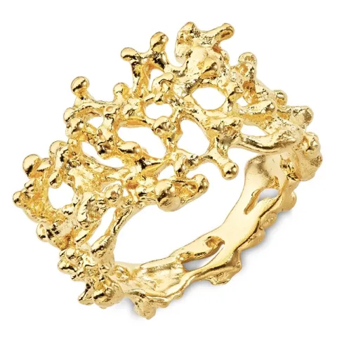 ring in verguld sterlingzilver