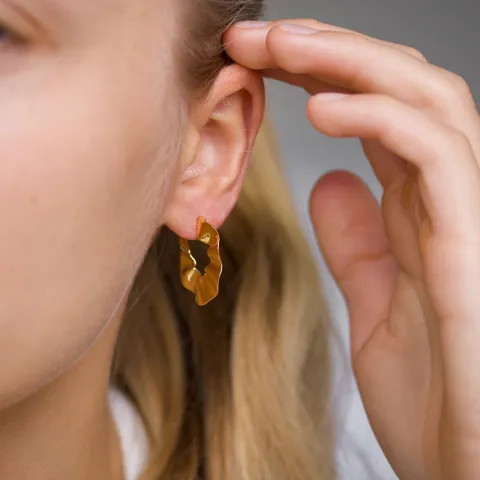 halfcreool in verguld zilver