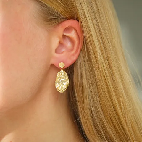 oorbellen in verguld zilver