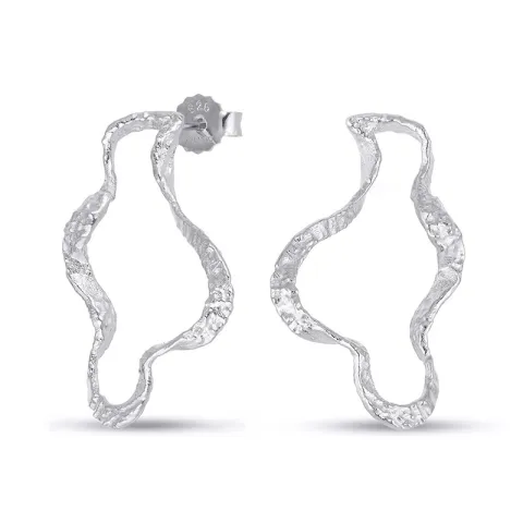 oorbellen in zilver