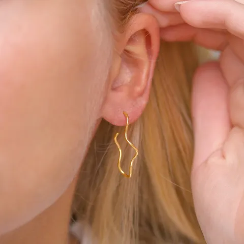 halfcreool in verguld zilver