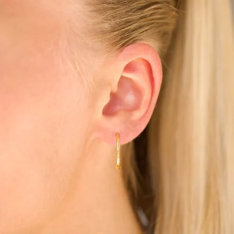 creool in verguld zilver