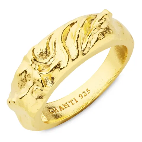 ring in verguld sterlingzilver - Lumé Etched