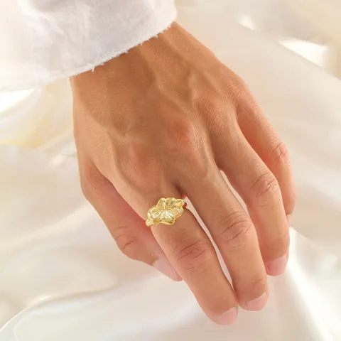 ring in verguld sterlingzilver - Lumé Essence