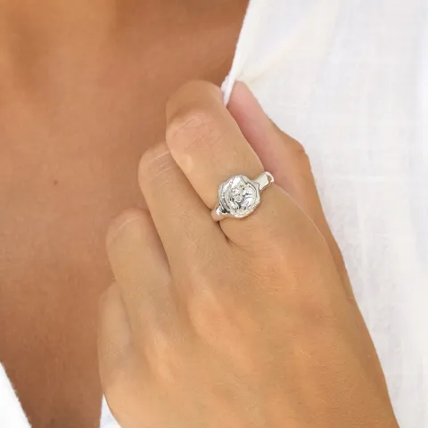 ring in zilver