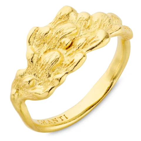 ring in verguld messing - Eliné