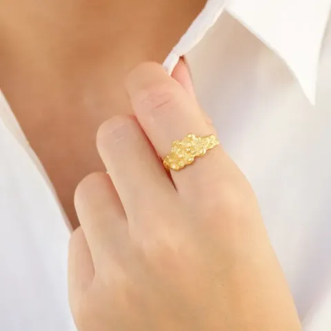 ring in verguld messing - Eliné