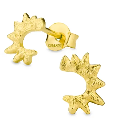 oorbellen in verguld messing - Eliné