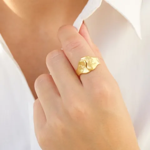 ring in verguld messing - Eliné