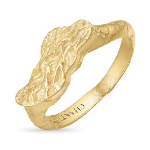 ring in verguld messing - Eliné